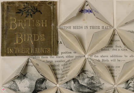Between Folds / British Birds