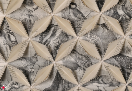 Between Folds / British Birds