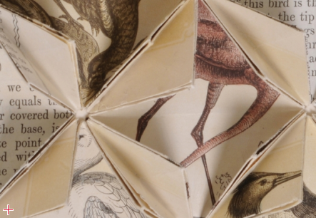 Between Folds / Natural History