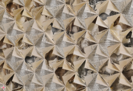 Between Folds / Natural History
